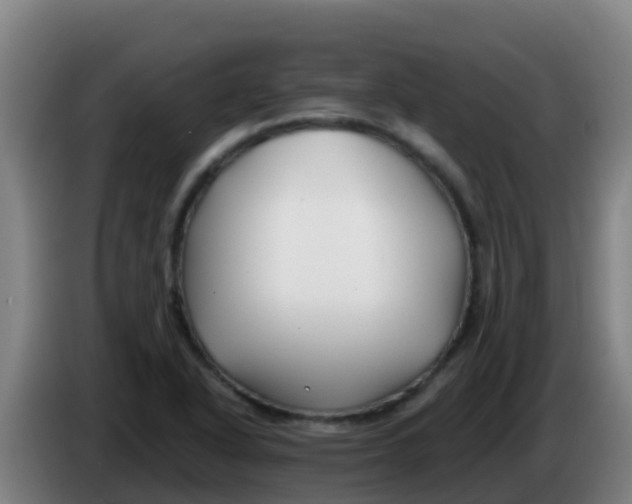 X0000086301318200704201935