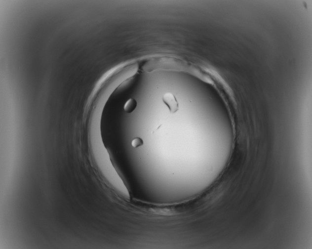 X0000086301320200704201935