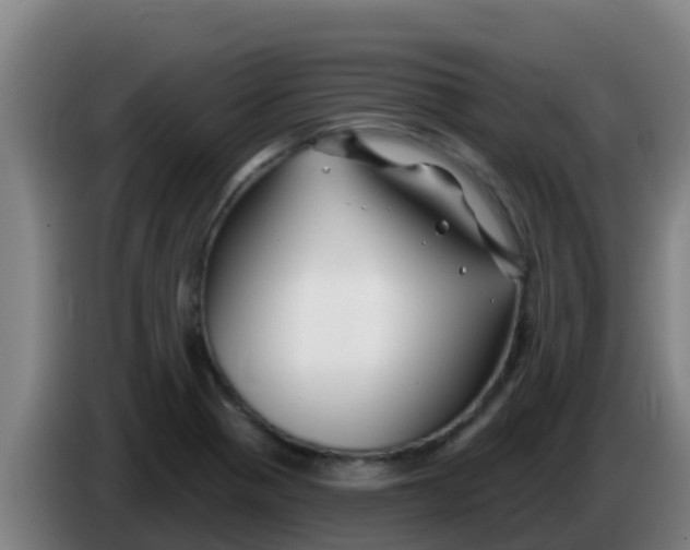 X0000086301321200704201935