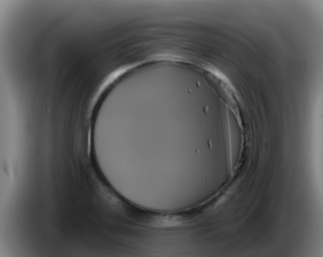 X0000086301323200704201935