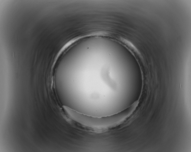 X0000086301324200704201935