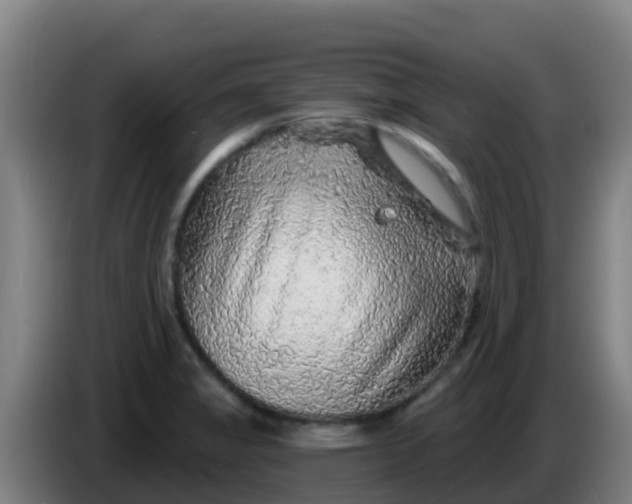 X0000086301325200704201935