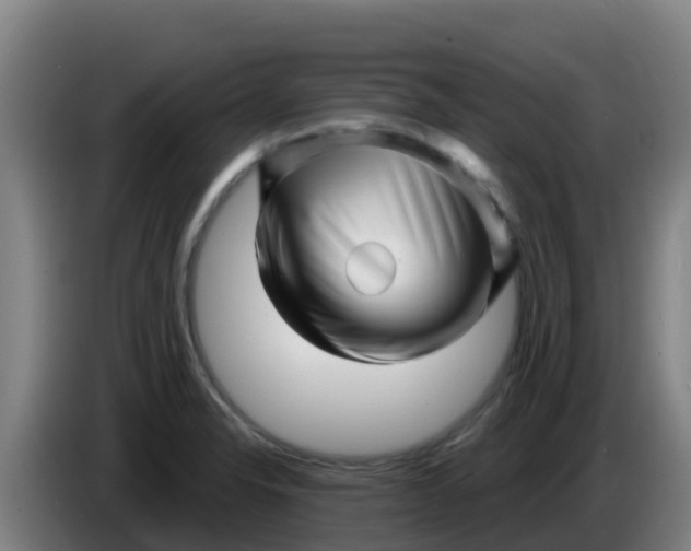 X0000086301326200704201935