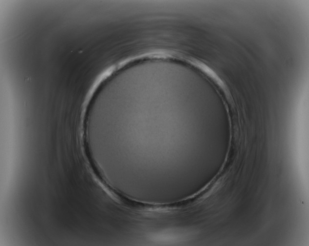 X0000086301327200704201935