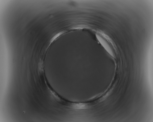 X0000086301329200704201935