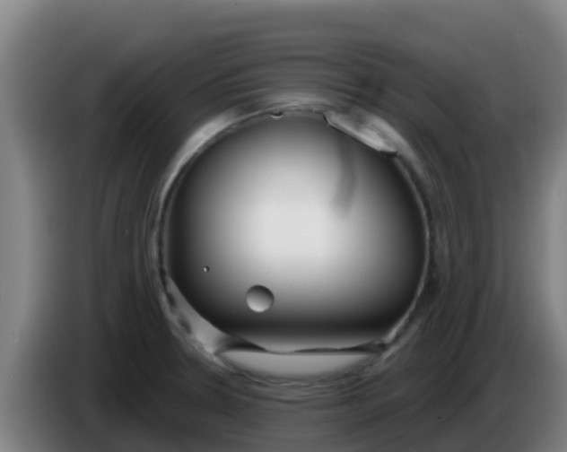 X0000086301330200704201935