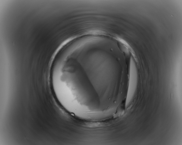 X0000086301331200704201935