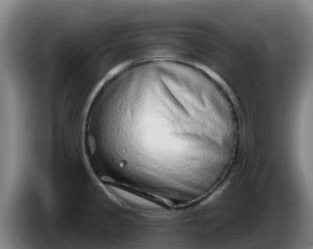 X0000086301333200704201935