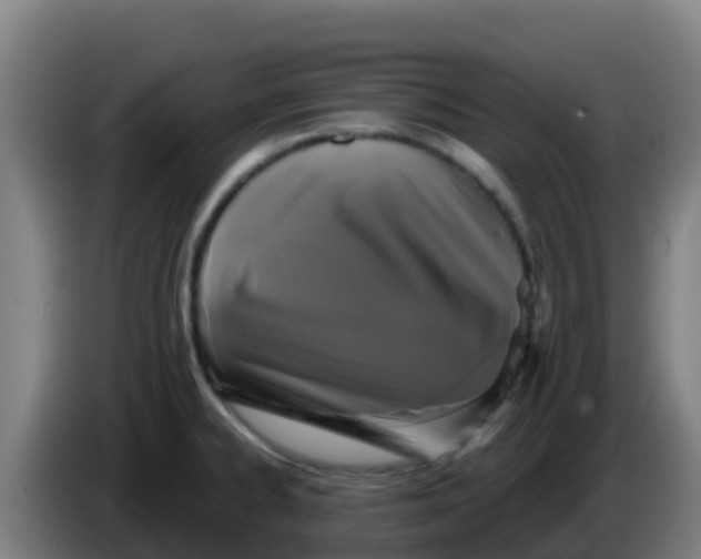 X0000086301334200704201935