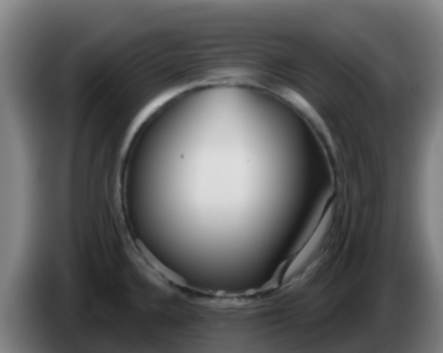 X0000086301336200704201935