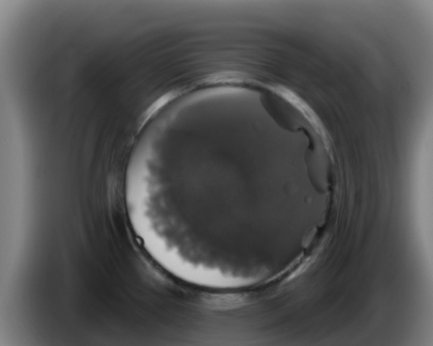 X0000086301337200704201935