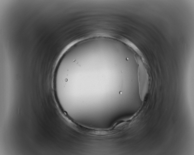 X0000086301339200704201935