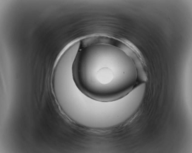 X0000086301340200704201935