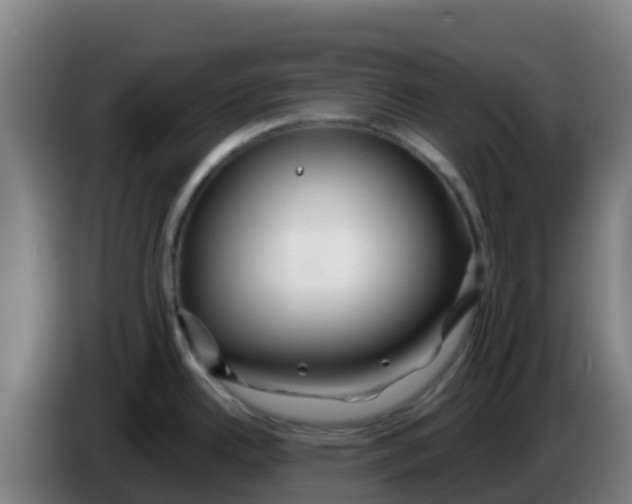 X0000086301342200704201935