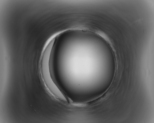 X0000086301344200704201935