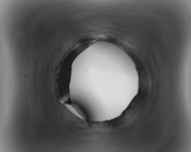 X0000086301345200704201934