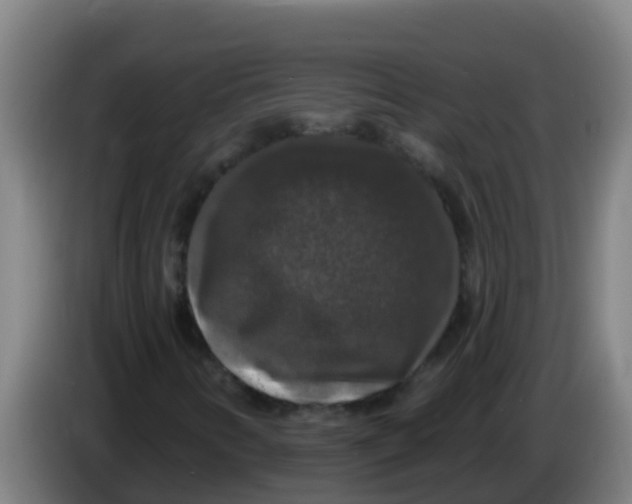 X0000086301346200704201934