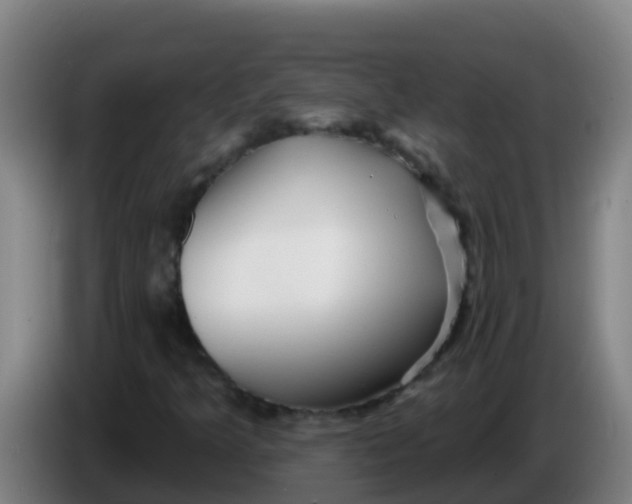 X0000086301349200704201934