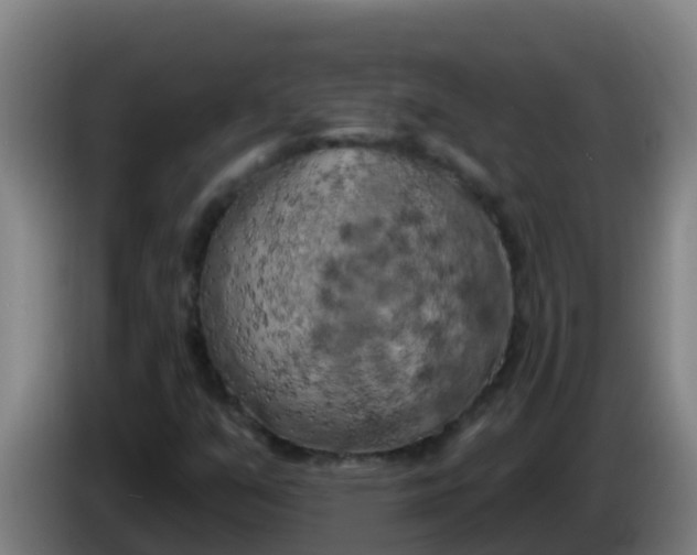 X0000086301351200704201934