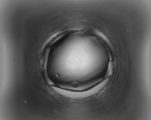 X0000086301352200704201934