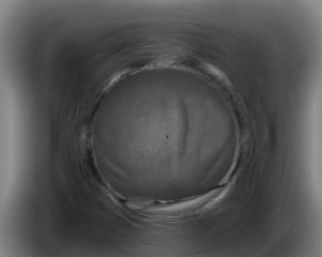 X0000086301353200704201934