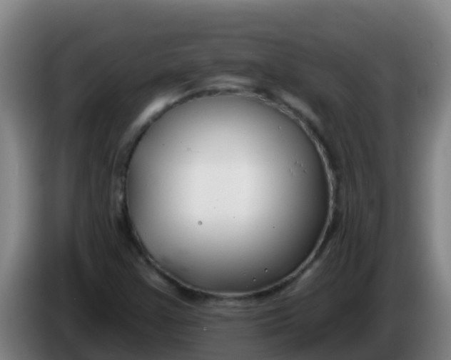 X0000086301355200704201934