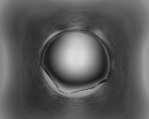 X0000086301356200704201934