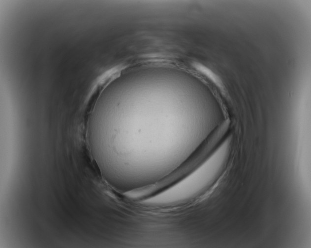 X0000086301357200704201934