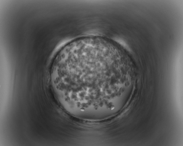 X0000086301358200704201934