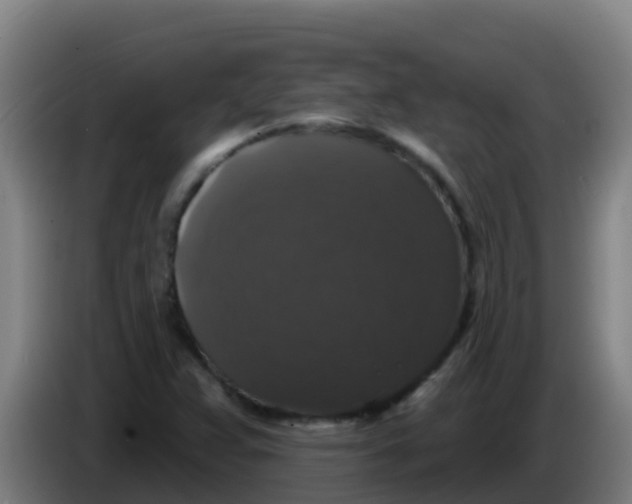 X0000086301359200704201934