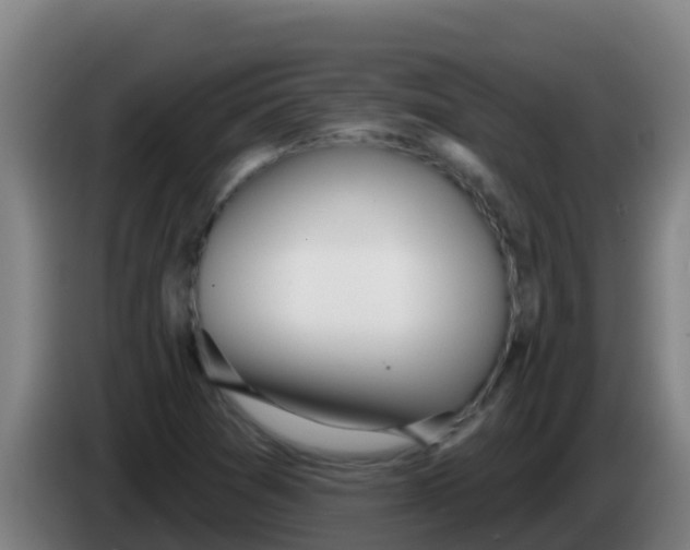 X0000086301361200704201934