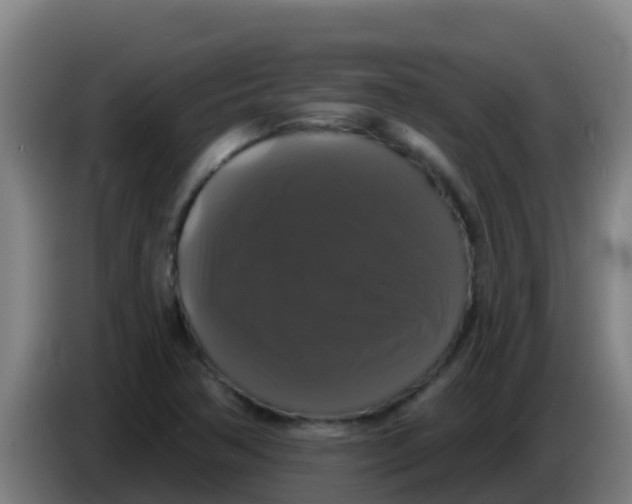 X0000086301362200704201934