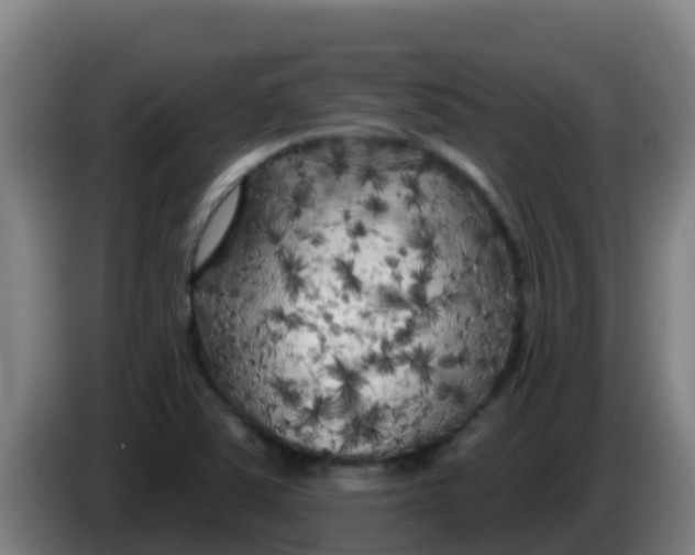 X0000086301363200704201934