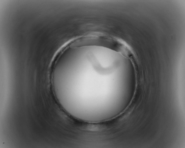 X0000086301364200704201934