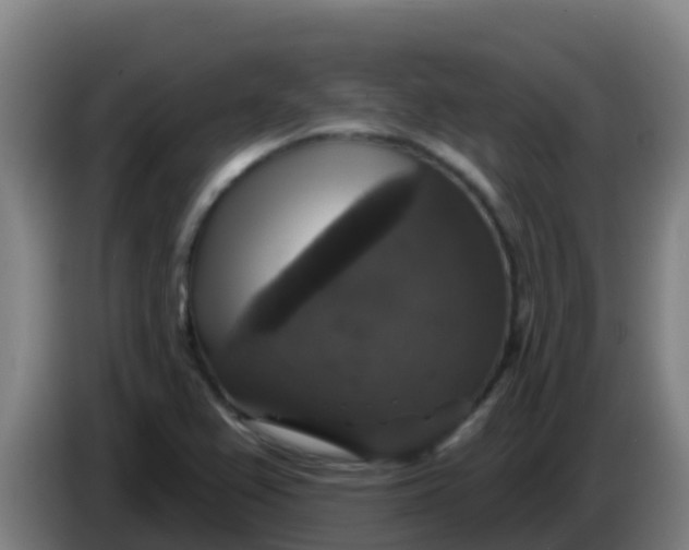 X0000086301367200704201934