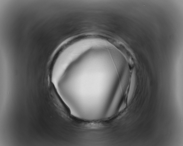 X0000086301368200704201934