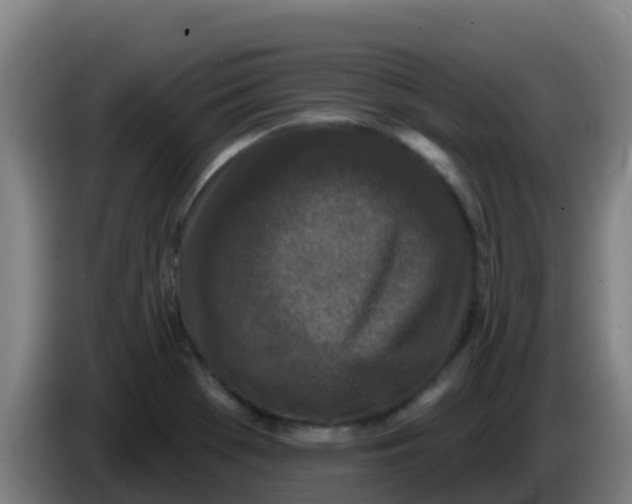 X0000086301369200704201934