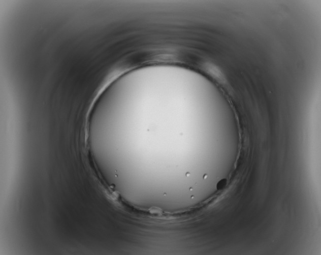 X0000086301370200704201934