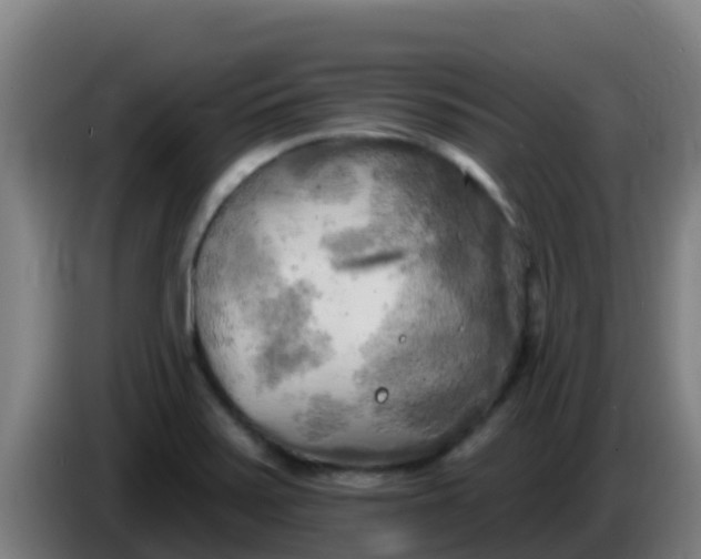 X0000086301371200704201934