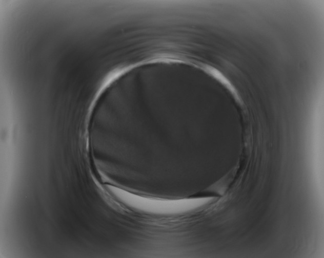 X0000086301372200704201934