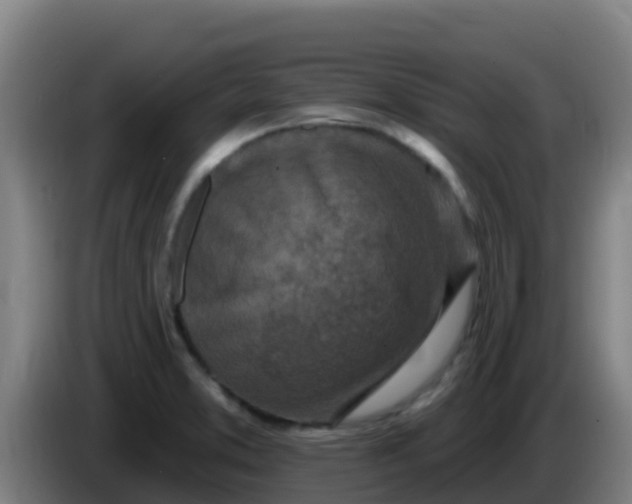 X0000086301373200704201934