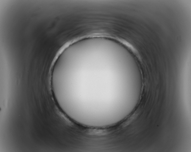 X0000086301374200704201934