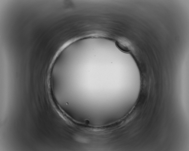 X0000086301375200704201934