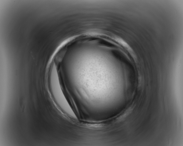 X0000086301376200704201934