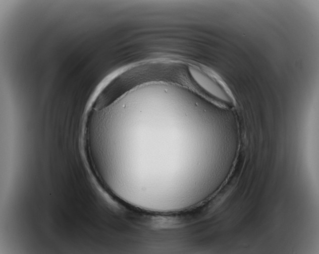 X0000086301379200704201934