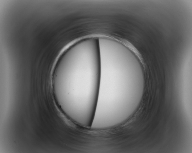 X0000086301380200704201934