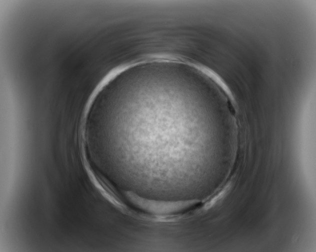 X0000086301381200704201934