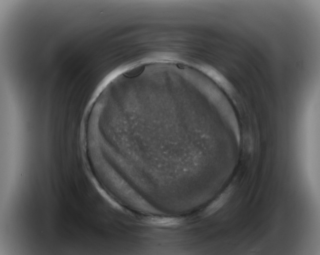 X0000086301382200704201934