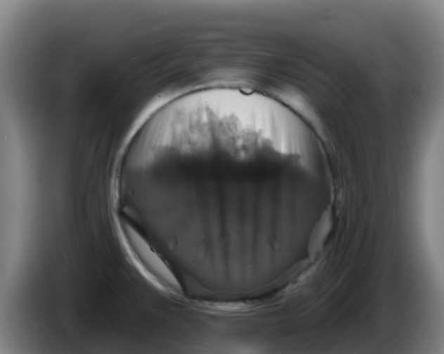 X0000086301383200704201934