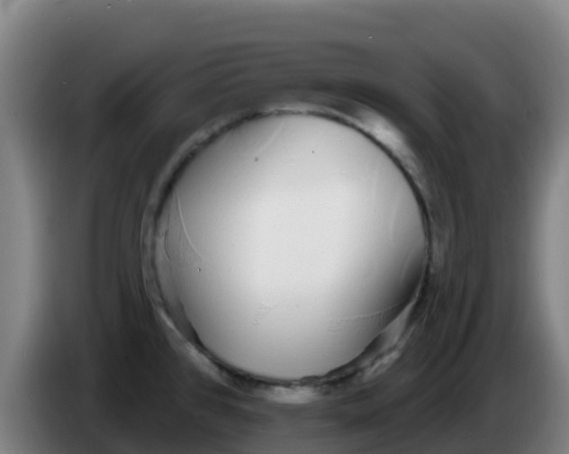 X0000086301384200704201934